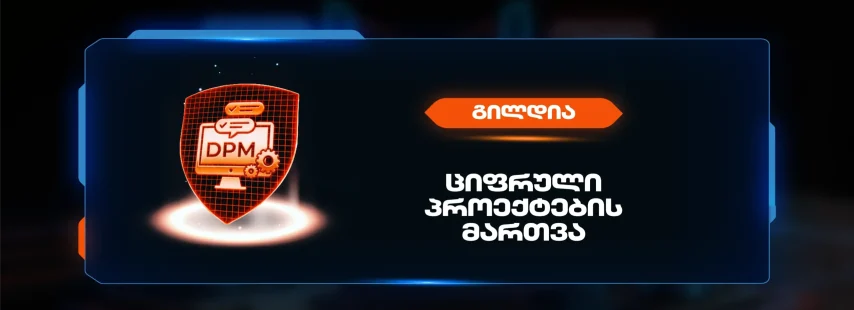 აქსელერაცია_ინტერფეისი-ციფრულიი